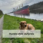 Apartment Fiete *